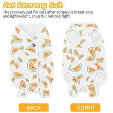 Load image into Gallery viewer, cat recovery suit display
