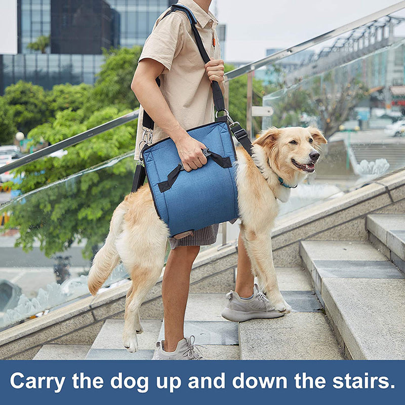 dog lift harness can help up and dowm stairs