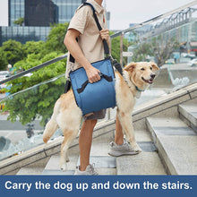Load image into Gallery viewer, dog lift harness can help up and dowm stairs
