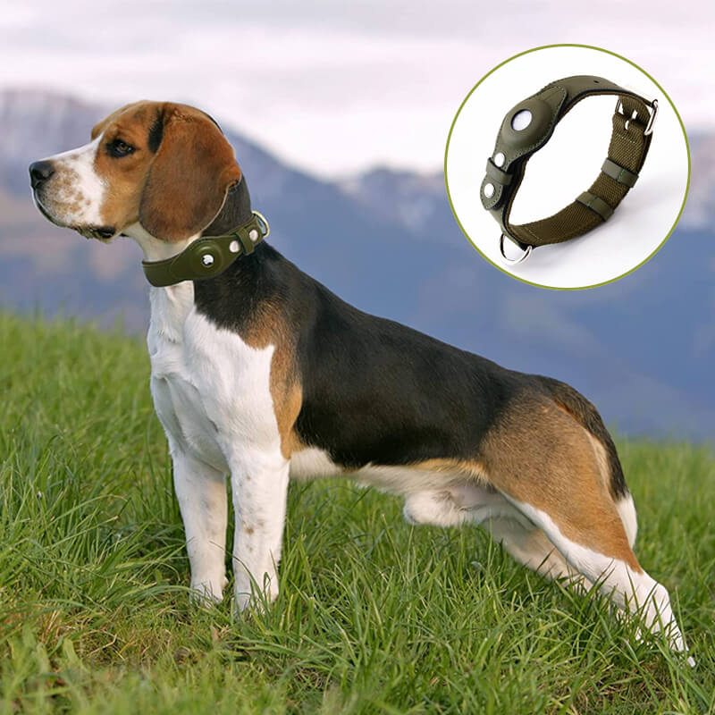 green airtag dog collar