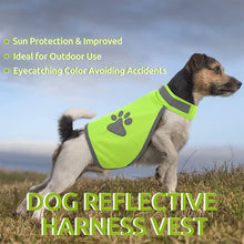 Load image into Gallery viewer, HiFuzzyPet Reflective Dog Safety Vest for Day or Night Outdoor Activity
