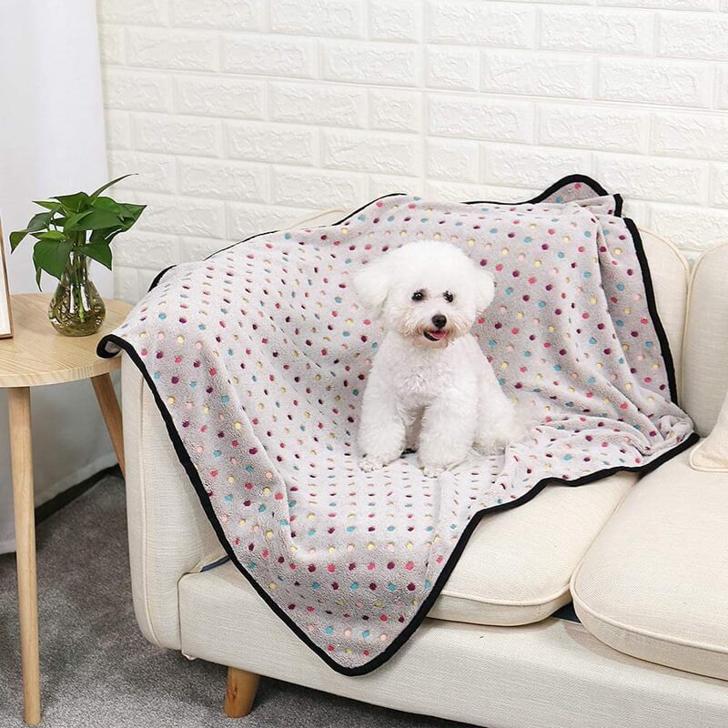 coffee dog cat blankets 
