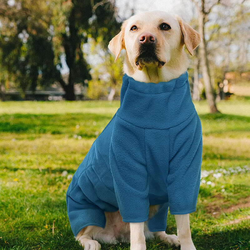 super soft dog coat for winter