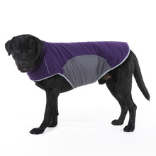 Load image into Gallery viewer, HiFuzzyPet Windproof Dog Jacket for Winter
