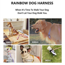 Load image into Gallery viewer, HiFuzzyPet Rainbow Easy Walk Harness for Runs, Walks, Hikes
