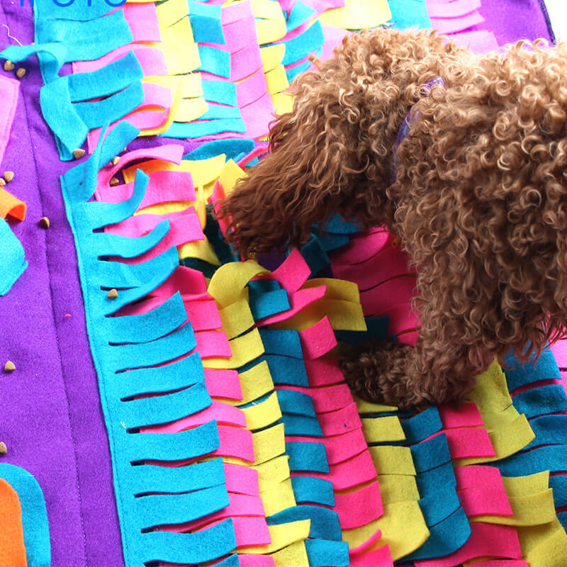 HiFuzzyPet Snuffle Mat for Dogs