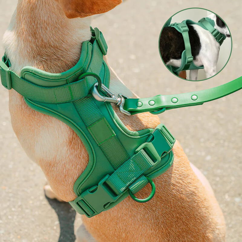green dog vest harnesses