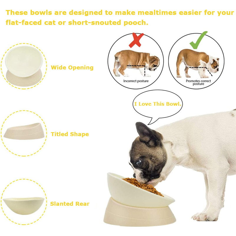 elevated cat bowl details