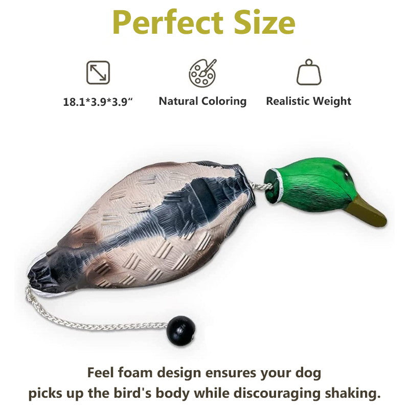 dog training bumpers size chart