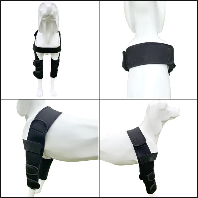 dog elbow pads display