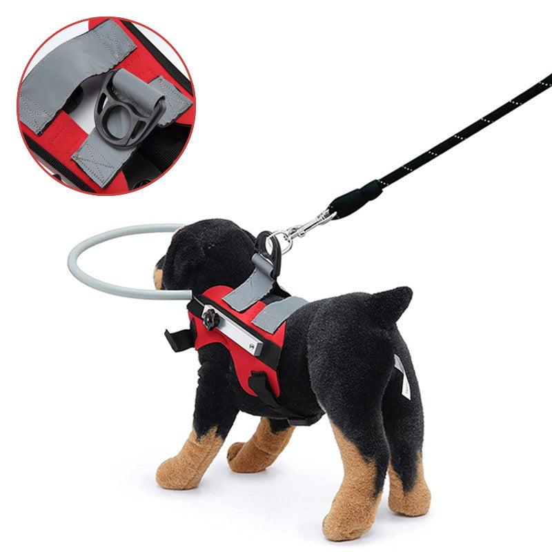 blind dog halo can use with leash