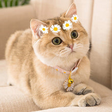 Load image into Gallery viewer, HiFuzzyPet 2pcs Flower Pendant Cat Collar with Bell
