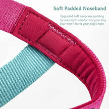 Load image into Gallery viewer,  gentle leader head collar with neoprene liner
