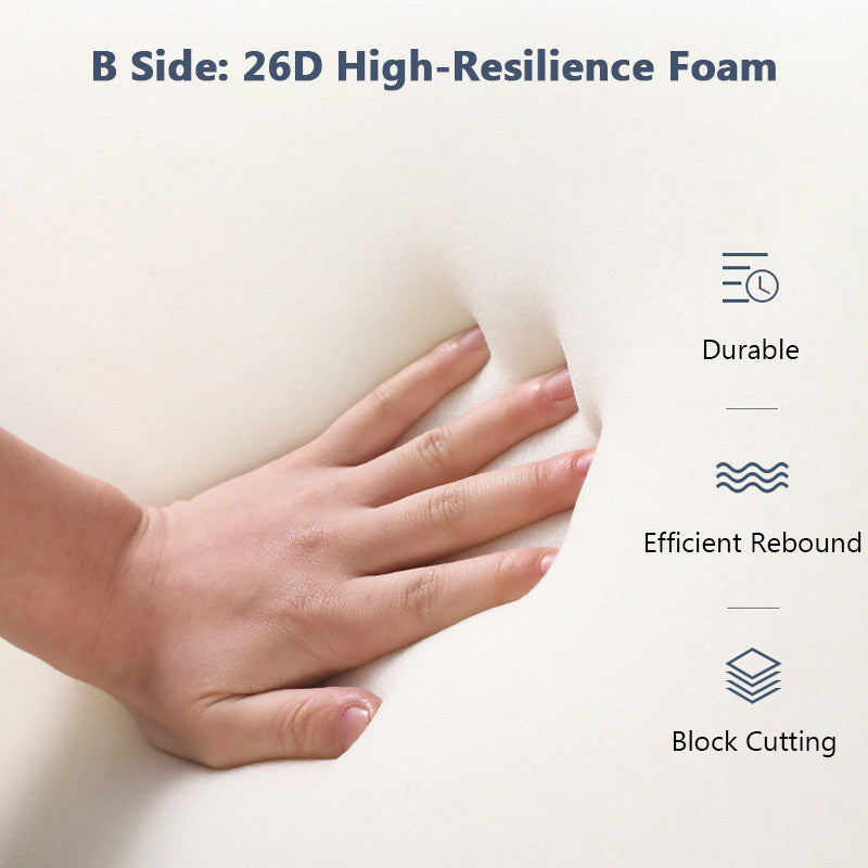 26D high resilience sponge dog couch bed