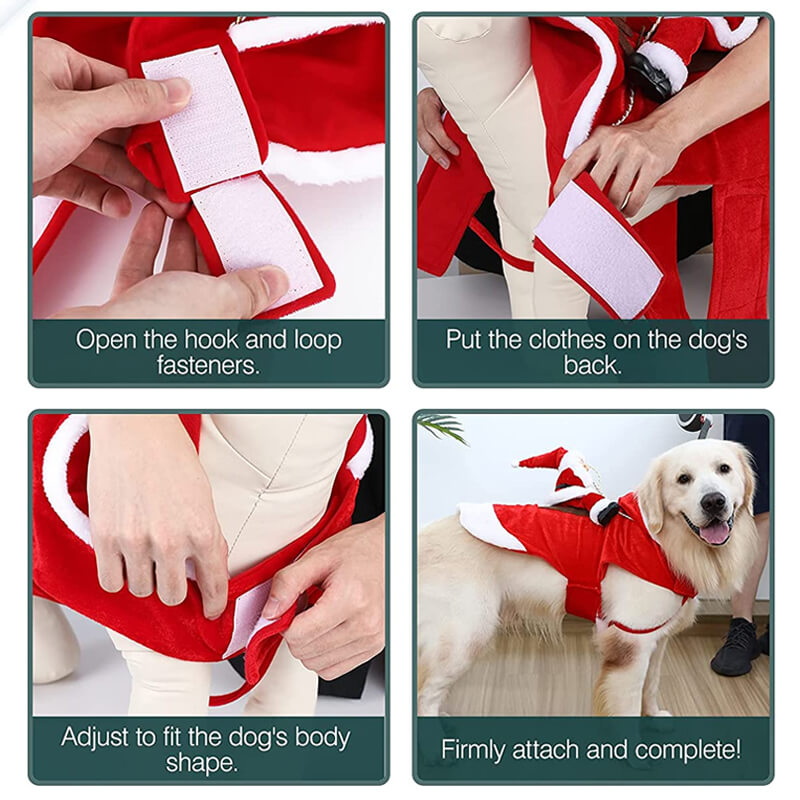 Dog Christmas Outfit wear step