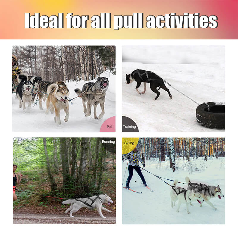dog sledding harness is perfect for pulli activity