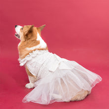 Load image into Gallery viewer, HiFuzzyPet Dog Tuxedo Costume &amp; Dress for Wedding

