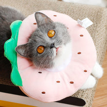 Load image into Gallery viewer, HiFuzzyPet Fruit Shaped Cat Cone Collar After Surgery
