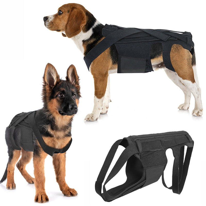 high-quality dog back brace for IVDD