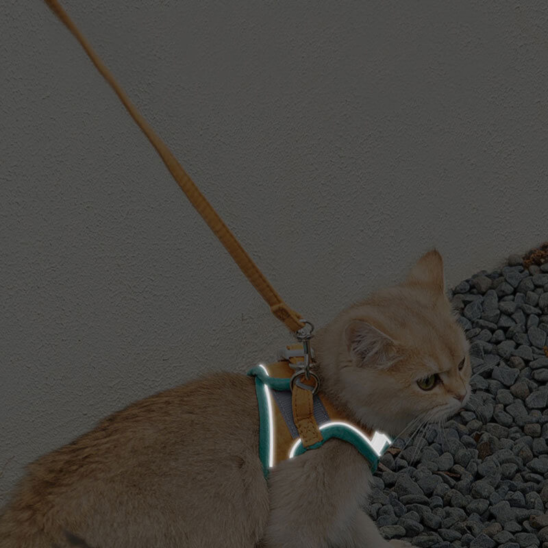 HiFuzzyPet Escape-proof Cat Harness and Leash for Walking