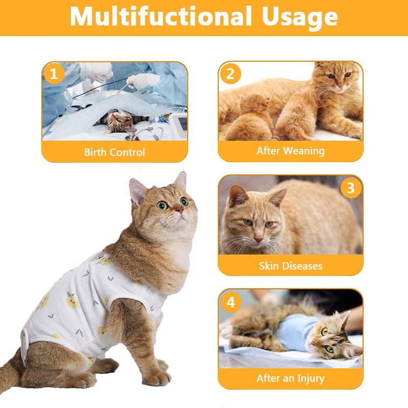 cat recovery suit function description