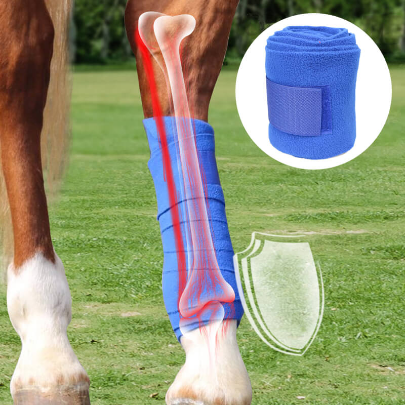 blue horse polo leg wraps for protect