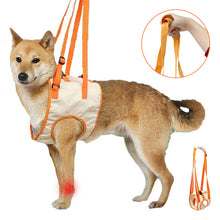 Load image into Gallery viewer, Front leg dog lift harness 
