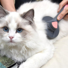 Load image into Gallery viewer, HiFuzzyPet Cat Brush For Long Hair, Comb For Shedding
