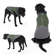 Load image into Gallery viewer, HiFuzzyPet Windproof Dog Jacket for Winter
