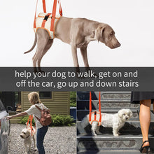 Load image into Gallery viewer, Can be walk with dog lift harness
