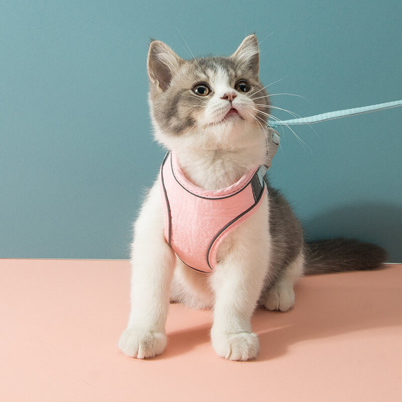 HiFuzzyPet Escape-proof Cat Harness and Leash for Walking