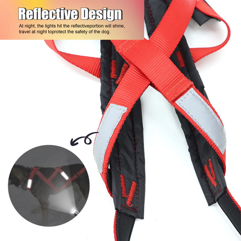  dog sledding harness for night safe