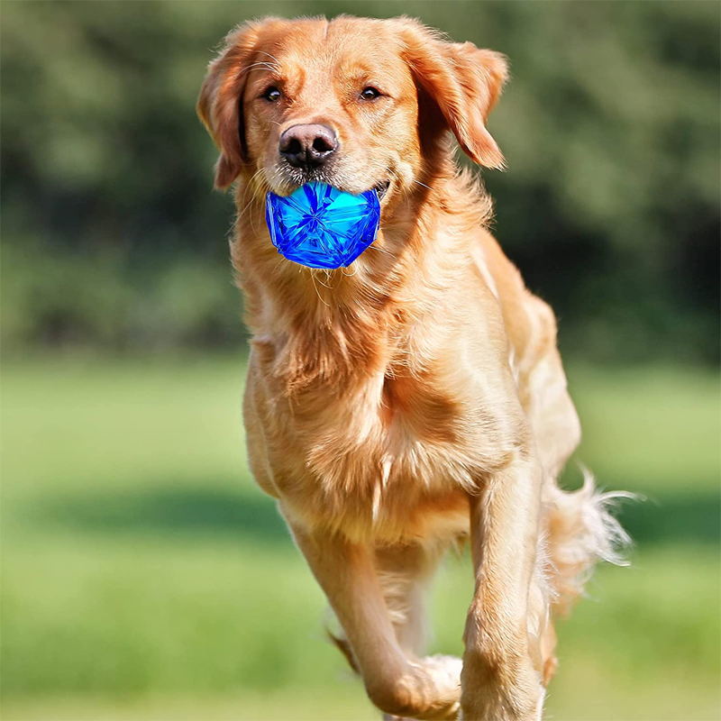 blue  light-up dog ball toy