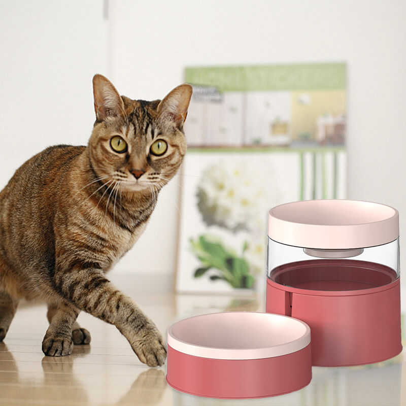 2 in 1 Cat Bowl Feeder and Water Bowl Set