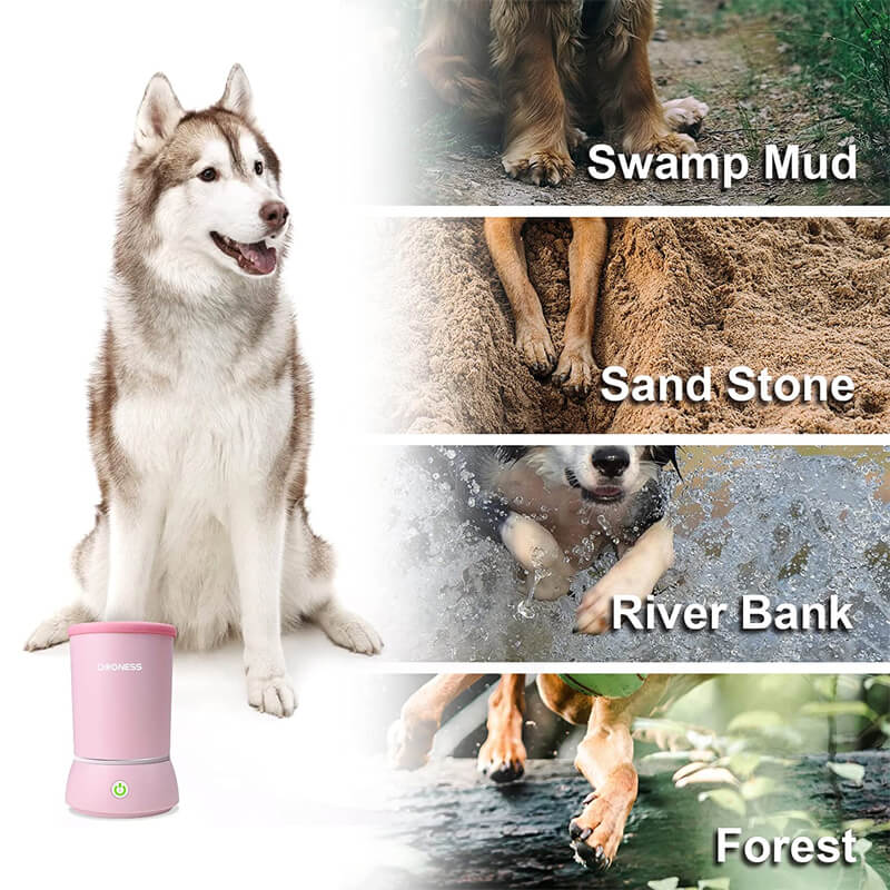 automatic dog paw cleaner meet the dogs need