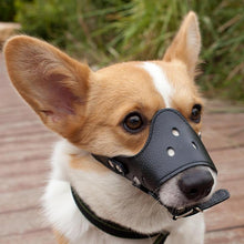 Load image into Gallery viewer, HiFuzzyPet Adjustable Dog Muzzle for Biting Barking
