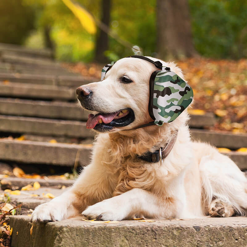 camouflage dog earmuffs