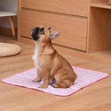 Load image into Gallery viewer, HiFuzzyPet Self Cooling Ice Silk Dog Cooling Mat for Summer
