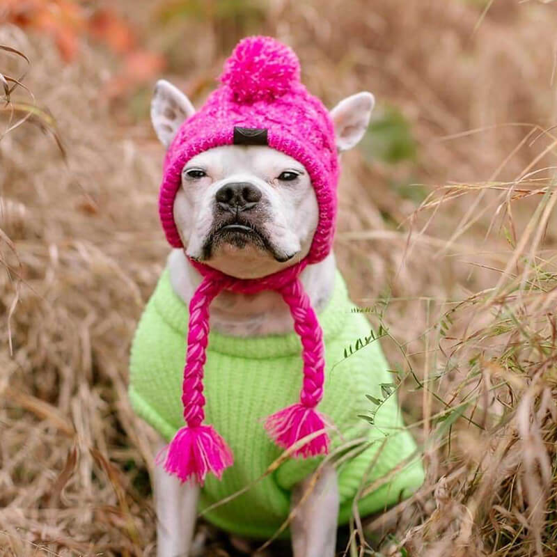 rose dog hat with ear holes