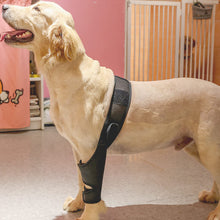 Load image into Gallery viewer, Dog knee brace for front leg
