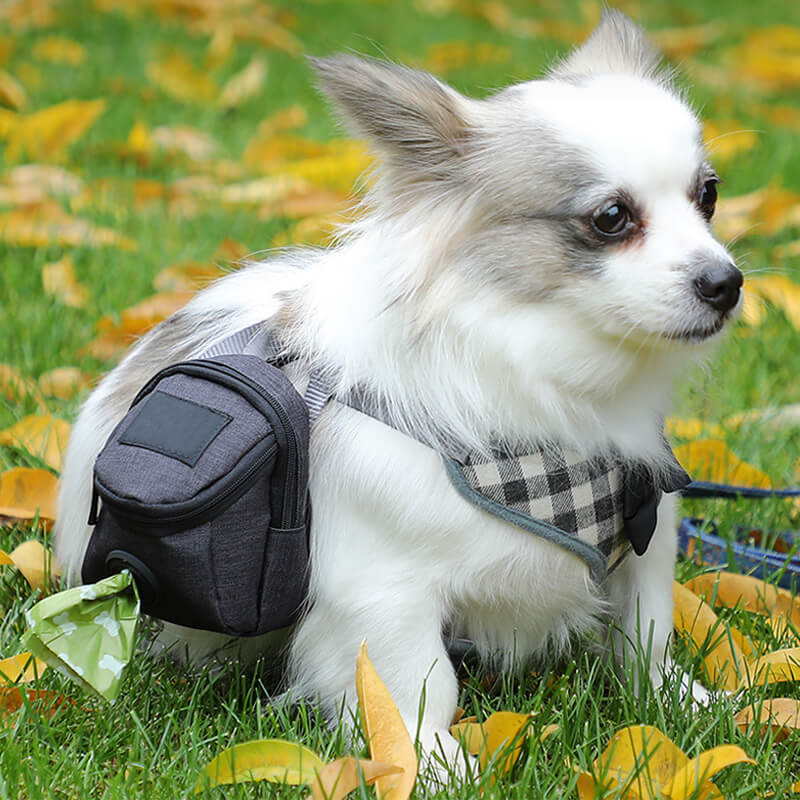 HiFuzzyPet Portable Dog Treat Pouch, Pet Waste Bag Dispenser