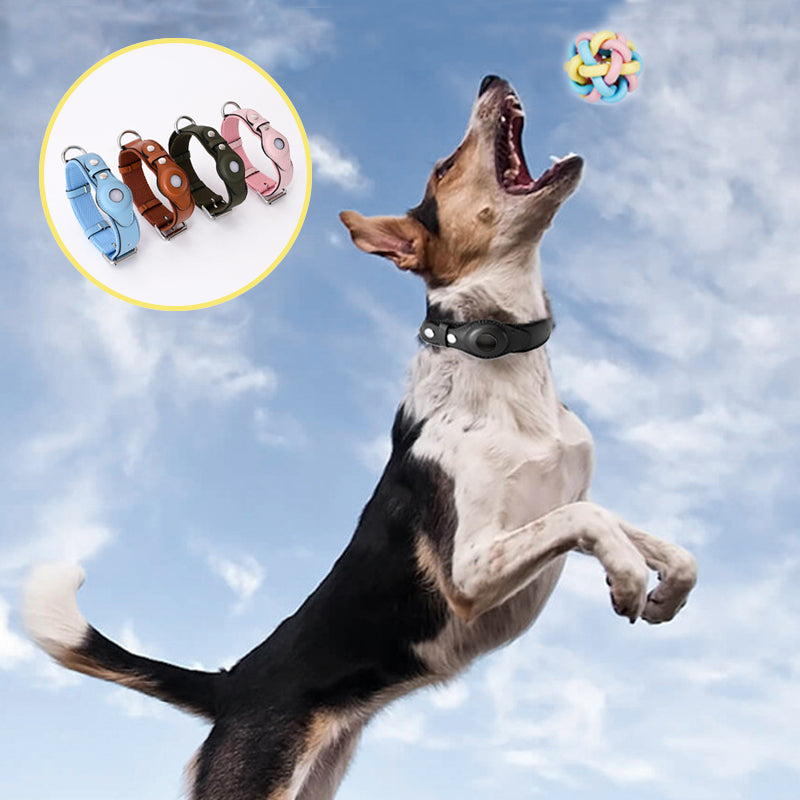 black airtag dog collar