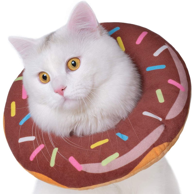 A-brown cat donut cone
