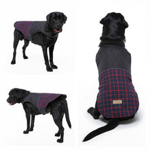 Load image into Gallery viewer, HiFuzzyPet Windproof Dog Jacket for Winter
