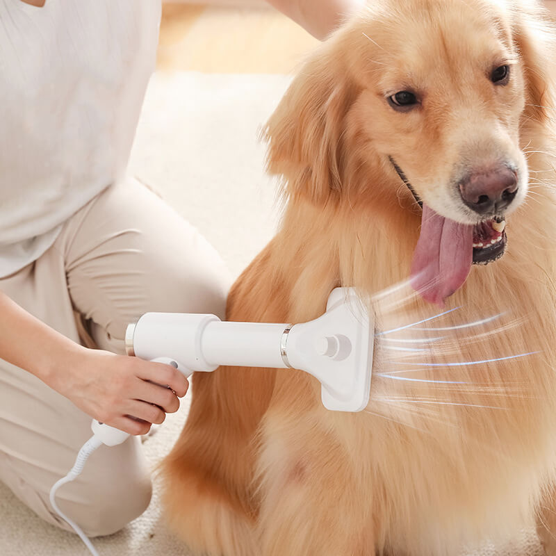 HiFuzzyPet 2 in 1 Portable Dog Blow Dryer with Slicker Brush