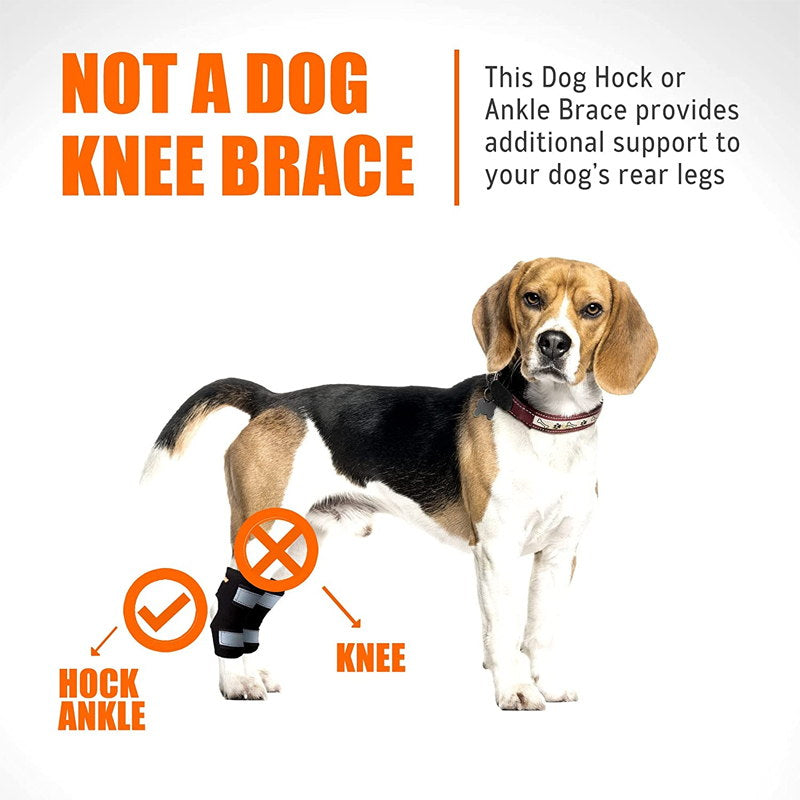 dog leg hock brace for hock ankle