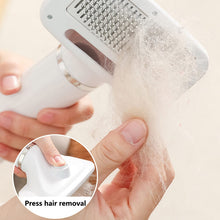 Load image into Gallery viewer, HiFuzzyPet 2 in 1 Portable Dog Blow Dryer with Slicker Brush
