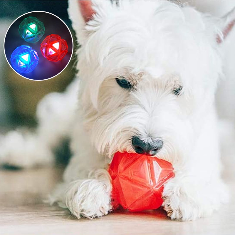  light-up dog ball toy with LED light
