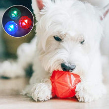 Load image into Gallery viewer,  light-up dog ball toy with LED light
