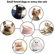 Load image into Gallery viewer, elevated cat bowl use object
